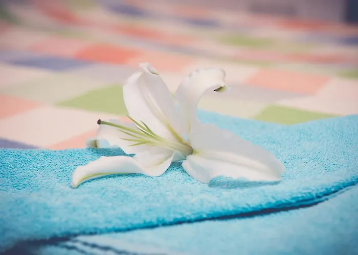 Valentinos Apartamento Paphos