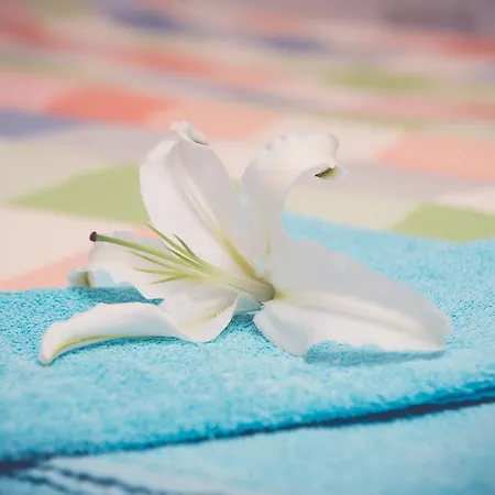 Valentinos Lägenhet Paphos